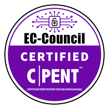 Certified Penetration Testing Professional